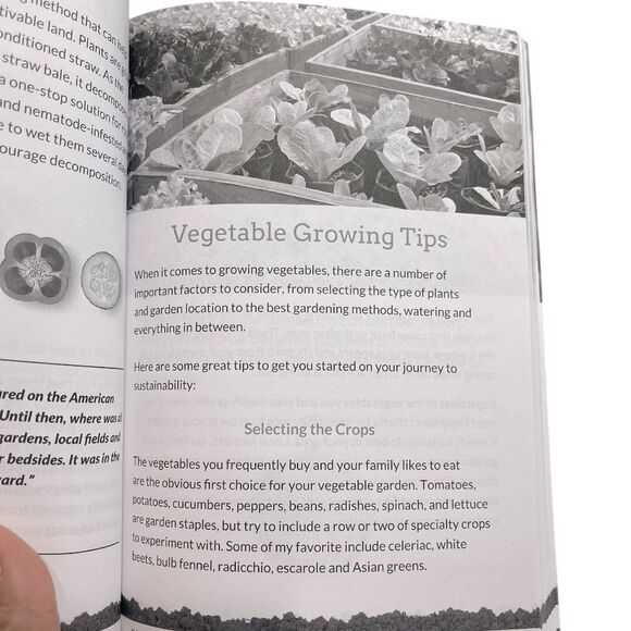 The Secret Garden: Growing Delicious Food For Essential Living - Picture 6 of 7